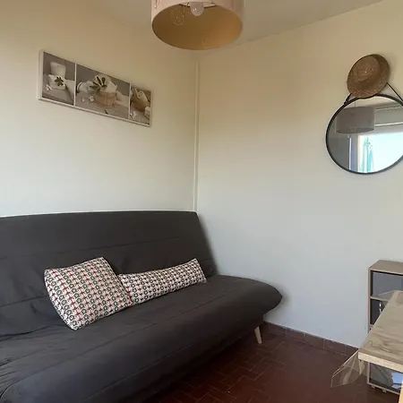T2 Au Barcarès Avec Terrasse Et Parking, Proche Commerces - Fr-1-799-12 Appartement *