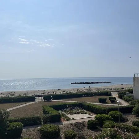 T2 Au Barcarès Avec Terrasse Et Parking, Proche Commerces - Fr-1-799-12